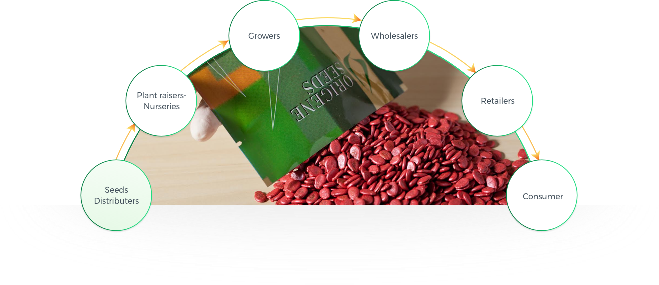 Assuring Top Quality Throughout All Product Cycles - Diagram (1315x570), Png Download