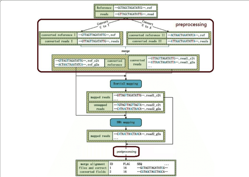 Schematic Diagrams Of Valibs - Common Fig (850x605), Png Download