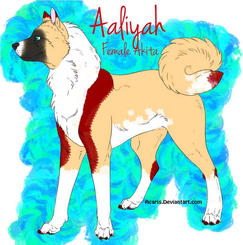Aaliyah's Ref - Ancient Dog Breeds (816x800), Png Download