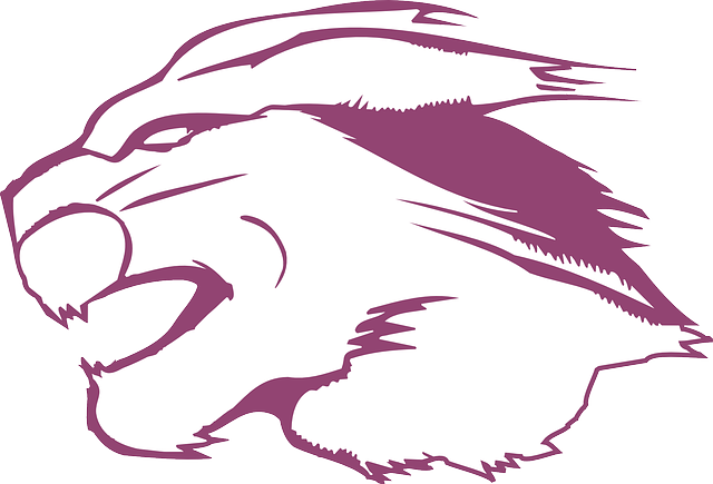 Head, Outline, Art, Animal, Fur, Cougar - Cougar (640x435), Png Download