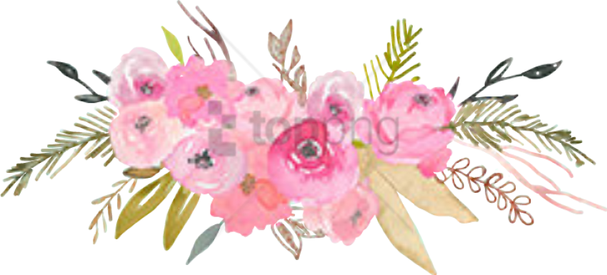 Garden Roses (731x331), Png Download