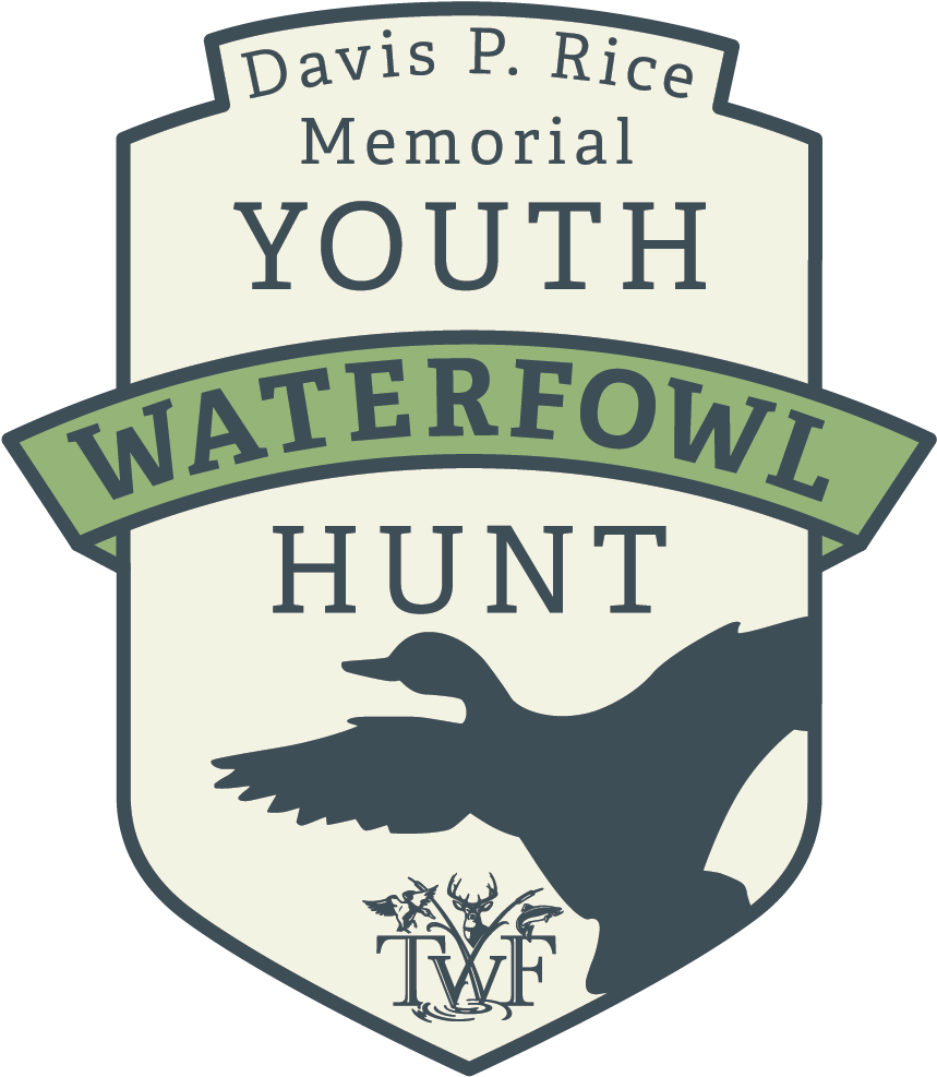 Download Dpr Color Logo 02 York Minster Full Size PNG Image PNGkit