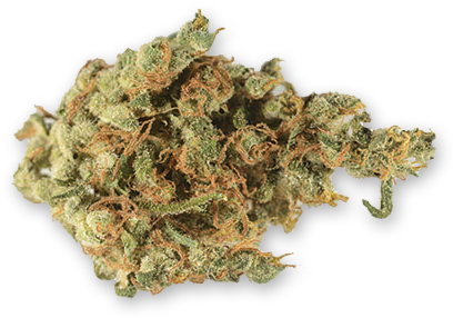 Bg Money'$ Pug Life - Cannabis (418x418), Png Download