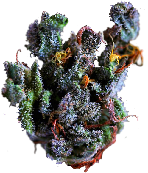 Fruity Pebbles On Tumblr Weed Nug Png - Close Up Marijuana Bud (500x601), Png Download