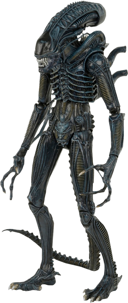 Alien Warrior 1/4 Scale Action Figure - Neca Alien Warrior 1 4 (537x1268), Png Download