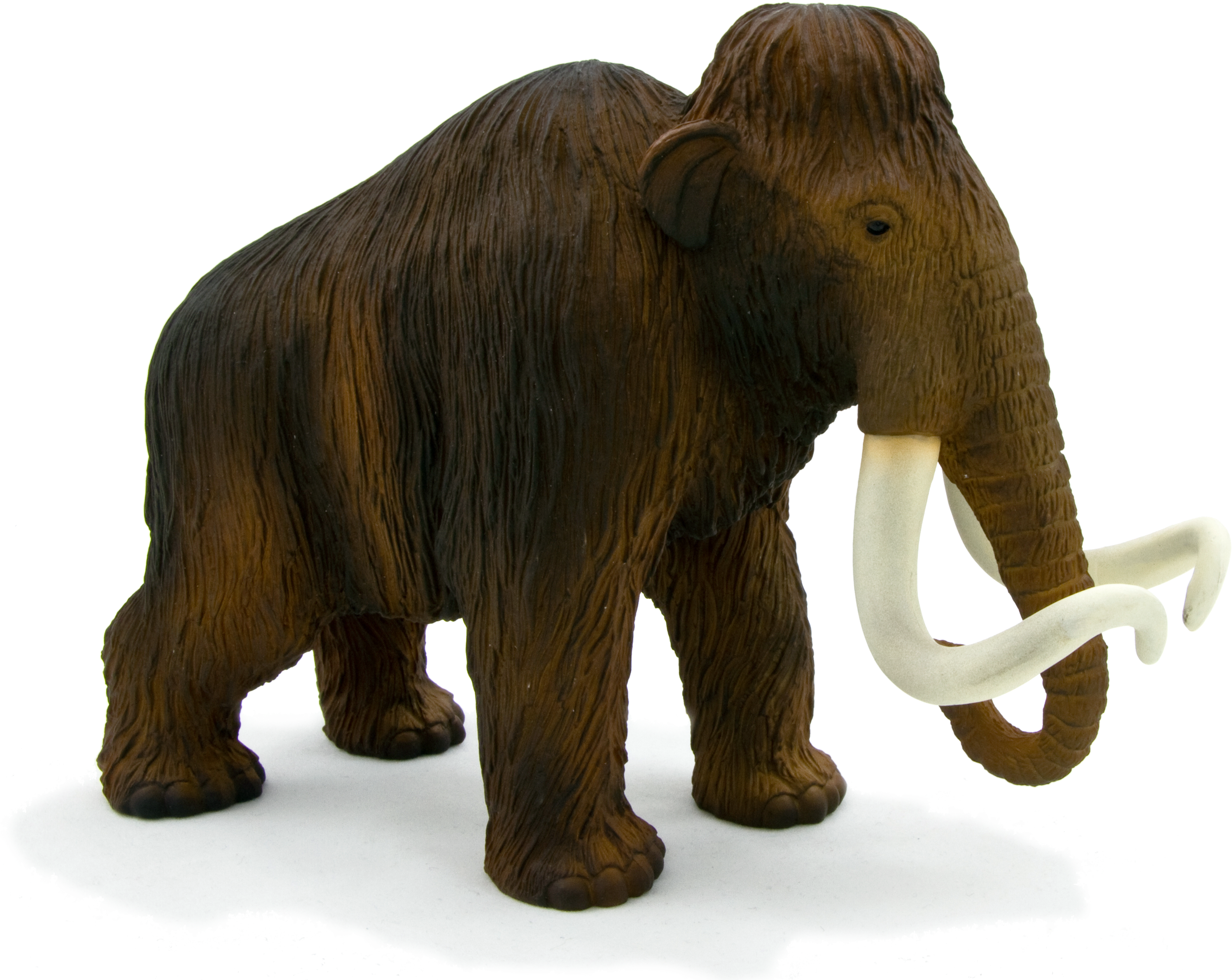 Animal Planet Wooly Mammoth (3015x2393), Png Download