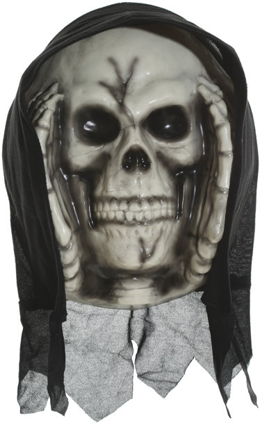 Window Creeper - Skeleton - Skeleton (429x650), Png Download