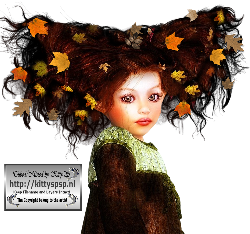 Kittys Autumn Baby 22 9 2008 Ks - Headpiece (961x898), Png Download