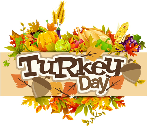 Thanksgiving Car Rental - Adult Turkey Shirt, Wild Turkey Shirt, Cool Turkey (740x523), Png Download