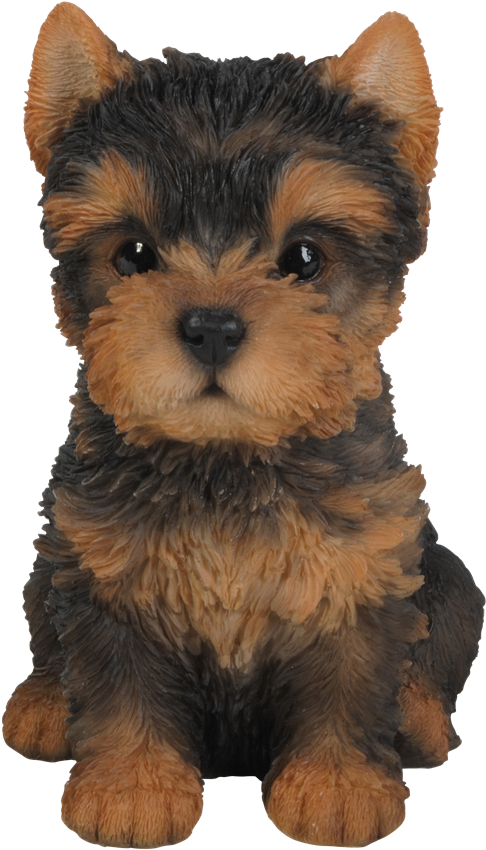 Small Image Of Pet Pals Yorkshire Terrier Puppy - Natures Gallery Yorkshire Terrier Puppy Statue - 83525 (566x900), Png Download