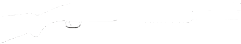 Regional Series - Shotgun (909x205), Png Download