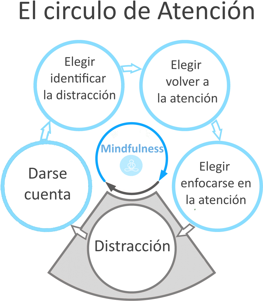 Circulo De Atención (916x1024), Png Download