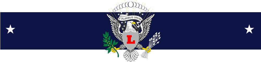 Silver Legion Of America Symbol (1000x300), Png Download