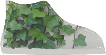Watercolor Vines, Climbing Plant Women's High Top Canvas - Wall Backpack By Ivaw (500x500), Png Download