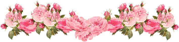 Next - Vintage Flower Border Png (800x232), Png Download