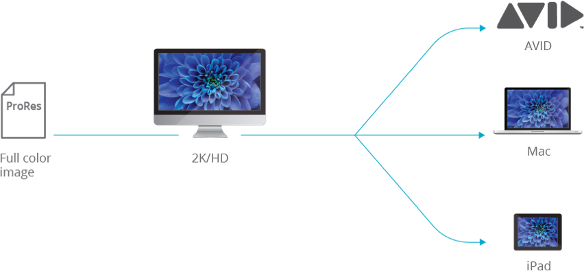 Dual Workflow Enables Raw To Go To The Raids And Lto - Led-backlit Lcd Display (852x395), Png Download