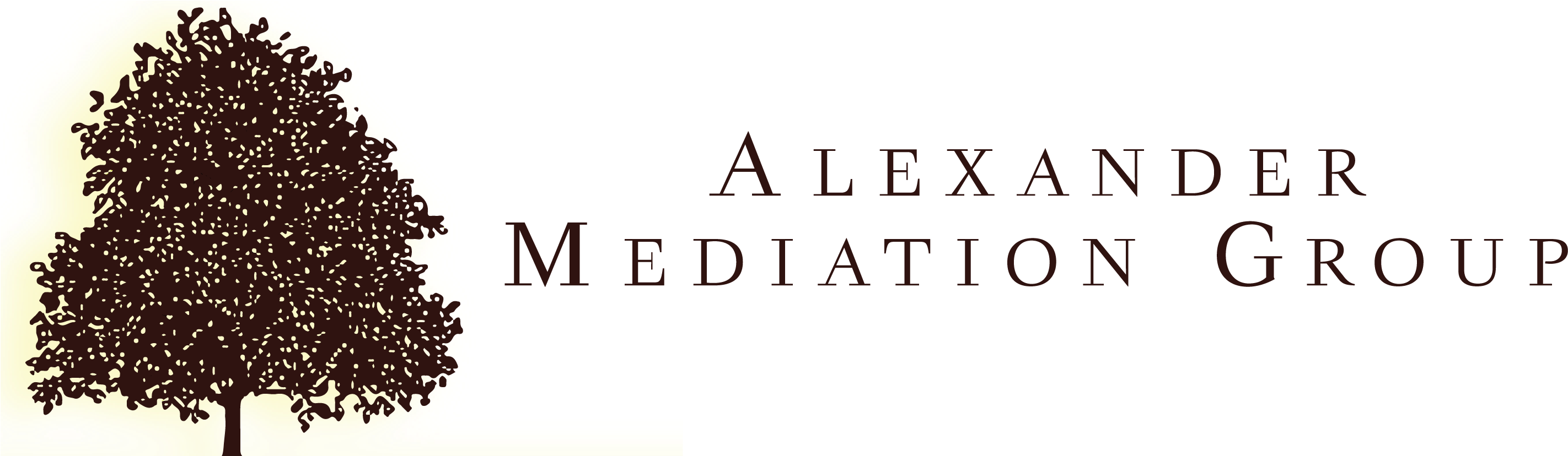 Divorce Mediation & Family Attorney - Lawyer (2879x900), Png Download