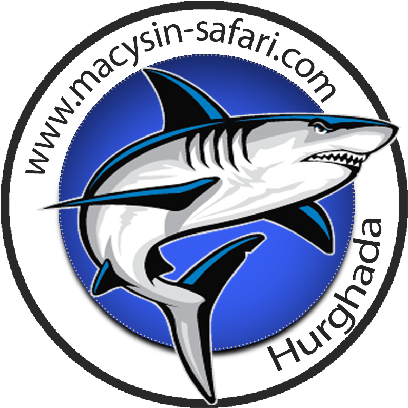 Logo - Plaza De Armas De Paiján (824x832), Png Download