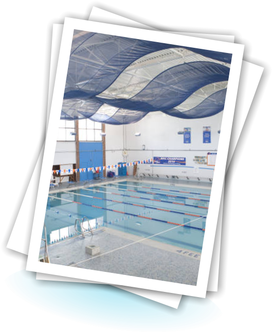 Boise State University Pool - Boise State University (568x696), Png Download