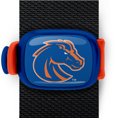 Boise State Broncos Stwrap - Ncaa Boise State Broncos Fiber Beach Towel, 30 X 60-inch (550x400), Png Download