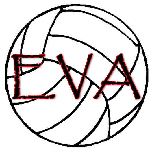 Evalogo - Netball Ball Clipart White (671x525), Png Download