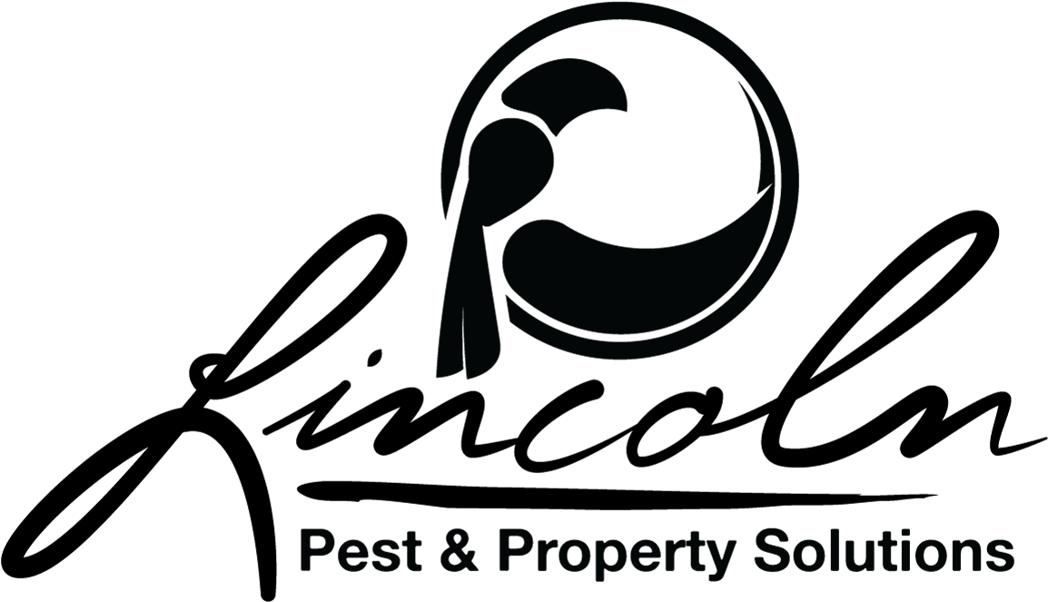 Bold, Masculine, It Company Logo Design For Lincoln - Pest (1200x1200), Png Download