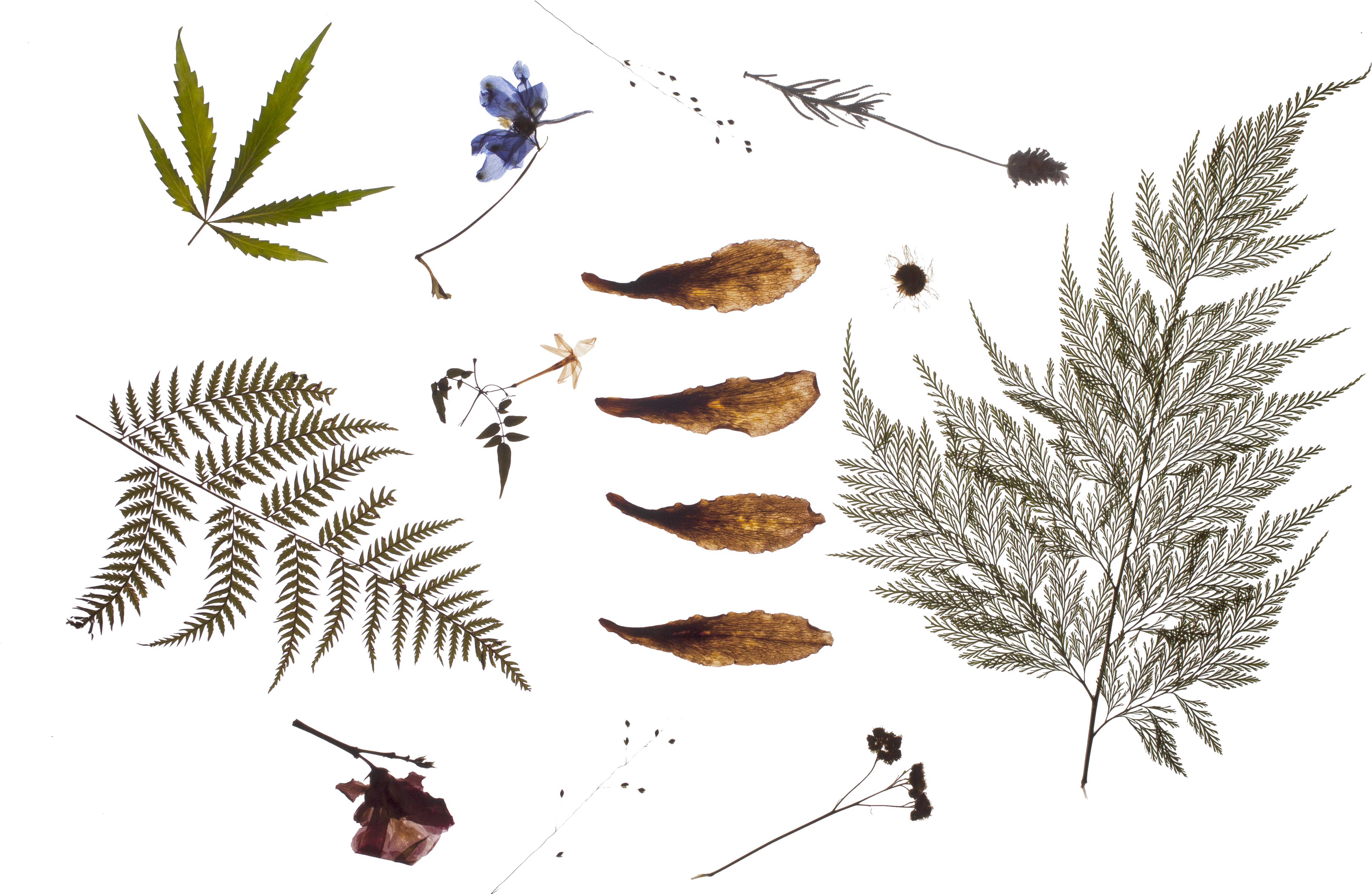 10-copy - Affect (5616x3744), Png Download