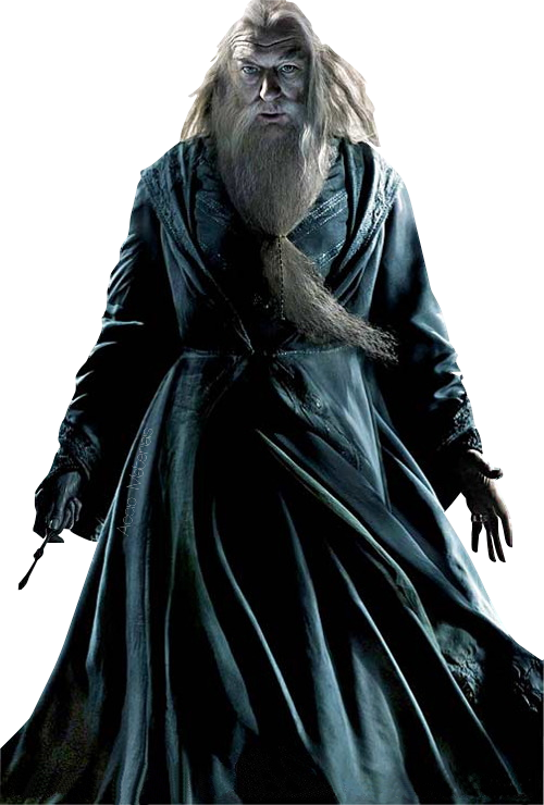 Steamworkshop Webupload Previewfile 232703555 Preview - Harry Potter And The Half Blood Prince Character Posters (500x740), Png Download