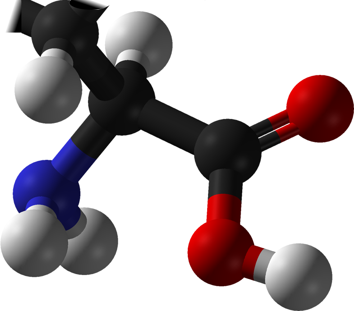 L-amino Acid Any - Amino Acids Png (728x640), Png Download