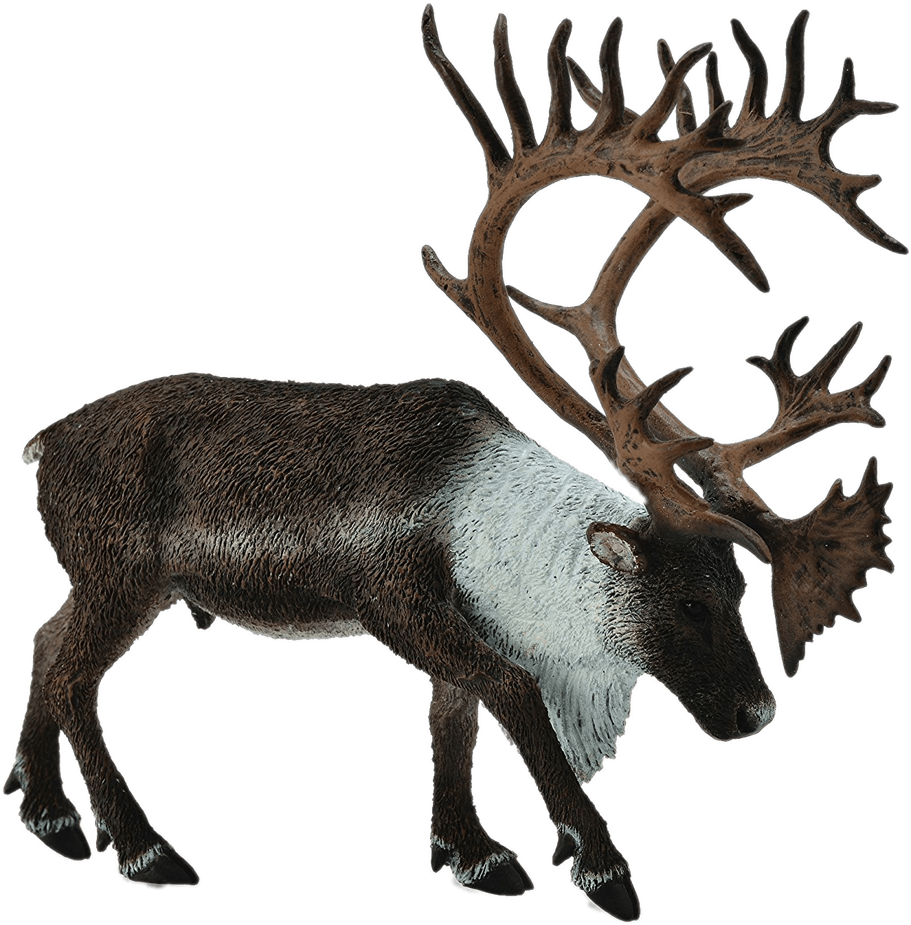 Download - Collecta 88709 - Woodland Caribou (1500x1440), Png Download