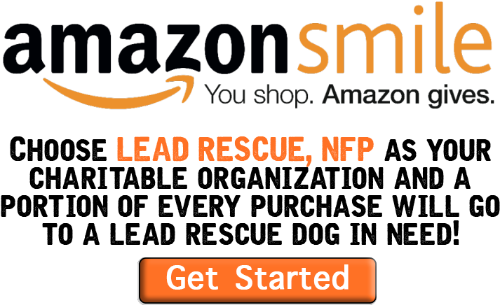 Amazonsmile - Amazon Smiles (800x459), Png Download