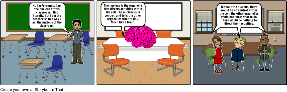Nucleus Story - Cell Nucleus (1164x385), Png Download