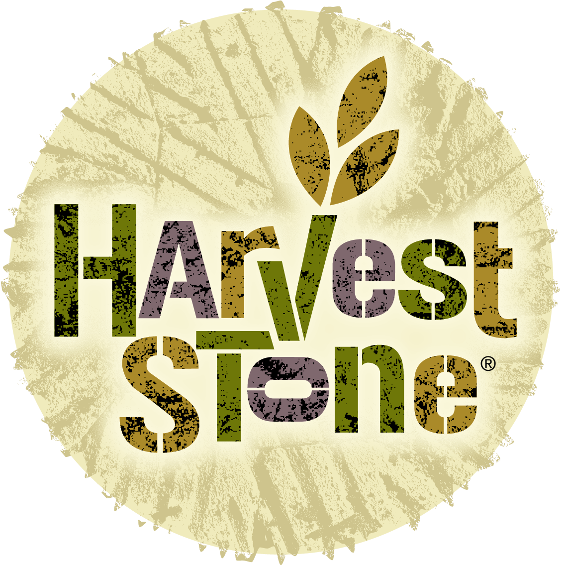 Th Foods, Inc - Harvest Stone Harvest Stone Organic Crackers - Rice (1328x1306), Png Download