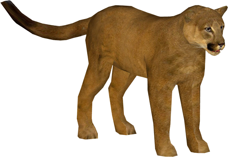 papo puma