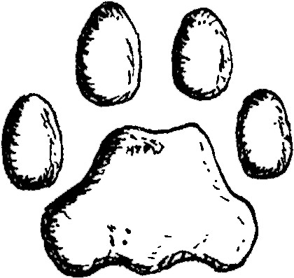 Puma Pfote - Pfotenabdruck Puma (534x477), Png Download
