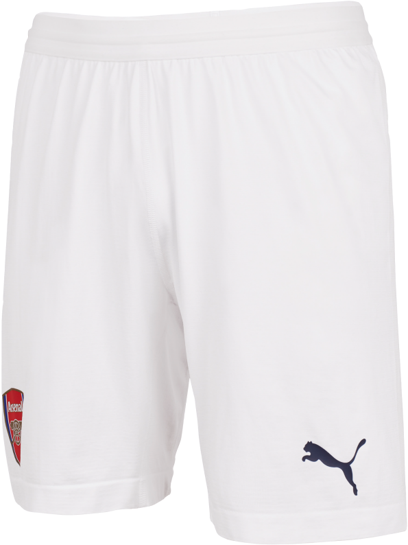 Free Download Puma Clipart Puma Bermuda Shorts - Shorts (810x810), Png Download
