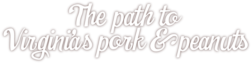The Southeastern Region Of Virginia Has Long Been Known - Neon Sign (906x230), Png Download