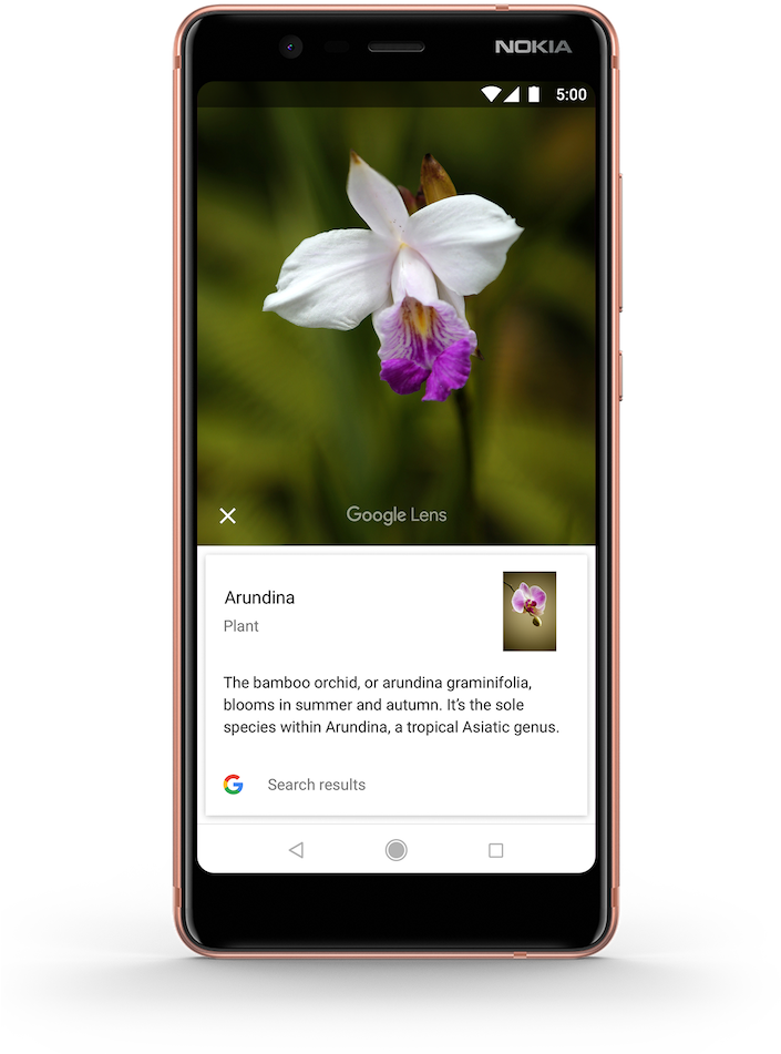 Mit Google Lens Erfährst Du Mehr Über Das, Was Auf - Google Lens (748x1000), Png Download