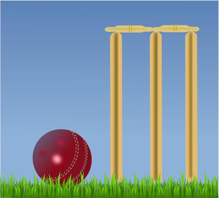 How To Set Use Cricket Illustration Clipart (900x814), Png Download