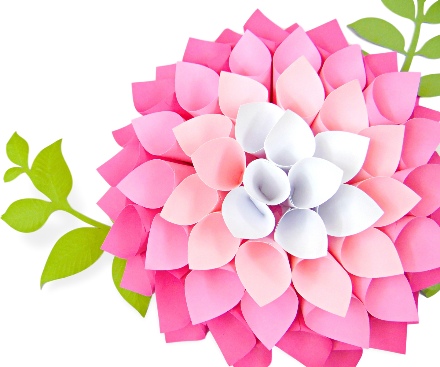Welcome I'm So Excited To Announce That I Am Opening - Easy Diy Paper Roses Step By Step (1600x1199), Png Download