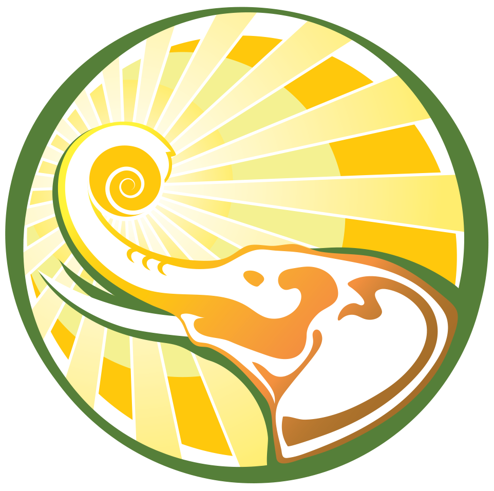 Good Sun - Atom (962x956), Png Download