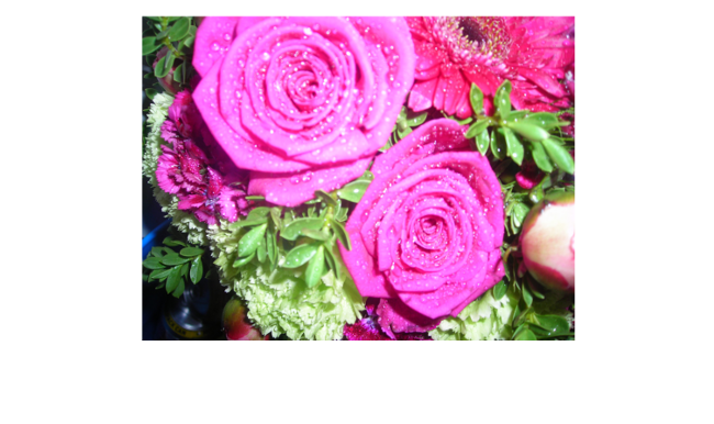 Finallogo - Garden Roses (730x456), Png Download