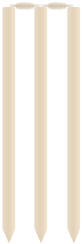 Related Wallpapers - Cricket Stump Vector Png (500x500), Png Download