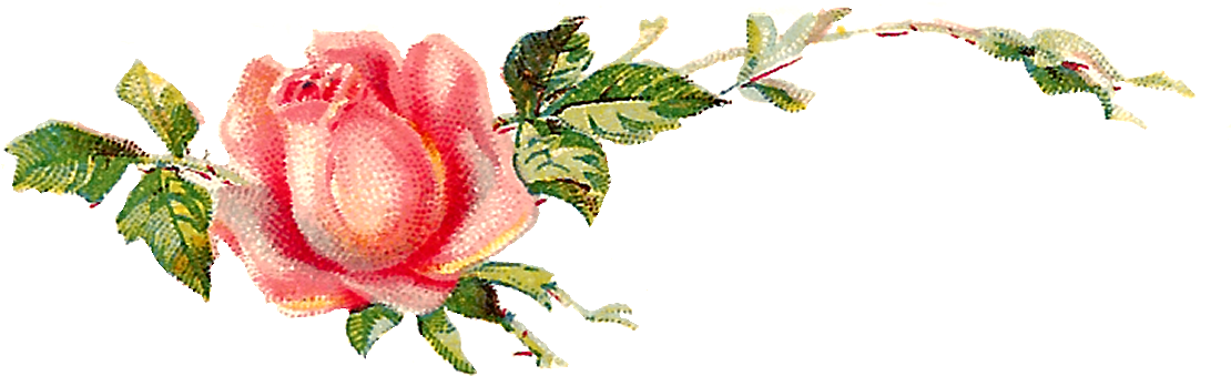 I Can Image Either Of These Digital Flower Images Decorating - Garden Roses (1200x438), Png Download