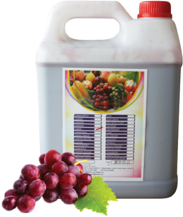 Cranberry (500x500), Png Download