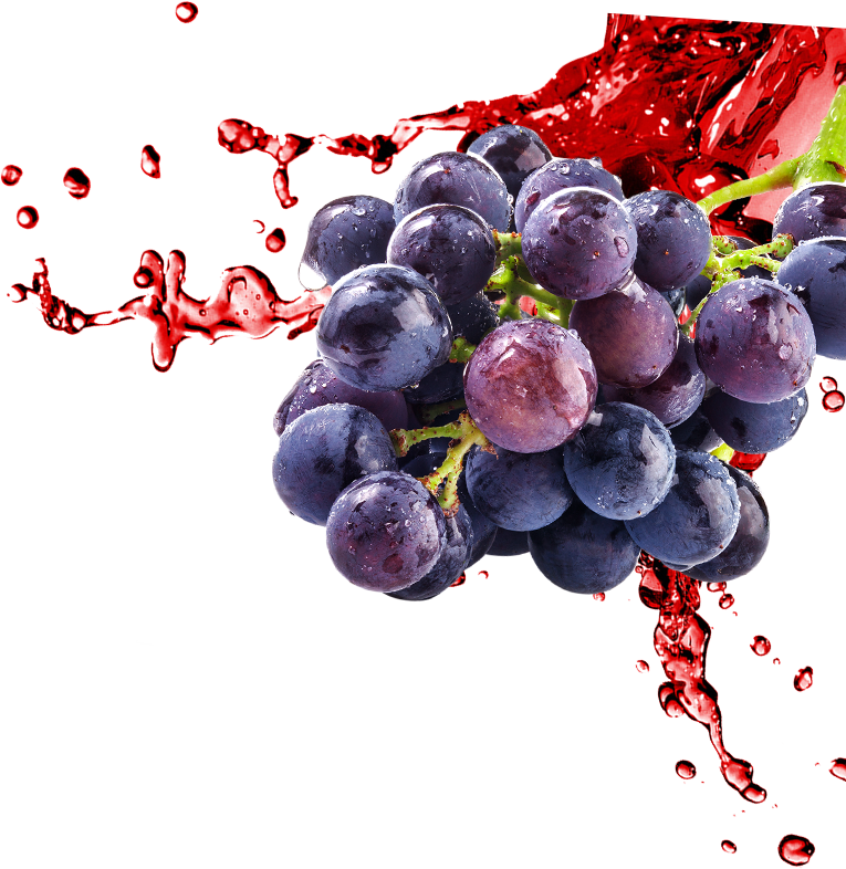 Fruit Splash Png Download - Grape Juice Splash Png (765x786), Png Download