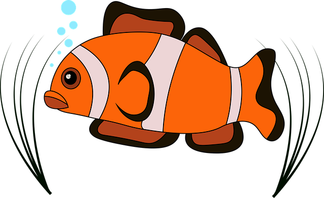Animasi Ikan Badut (640x391), Png Download