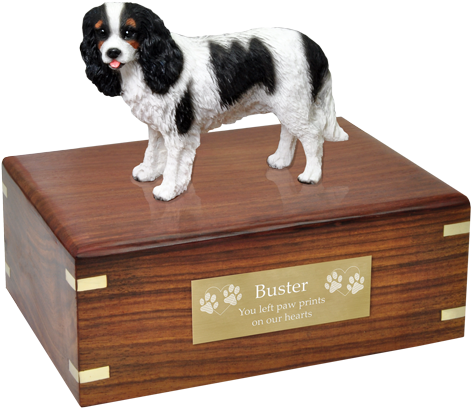 Tricolor Cavalier King Charles Spaniel Wood Urn W/ - Pug Urn (500x500), Png Download