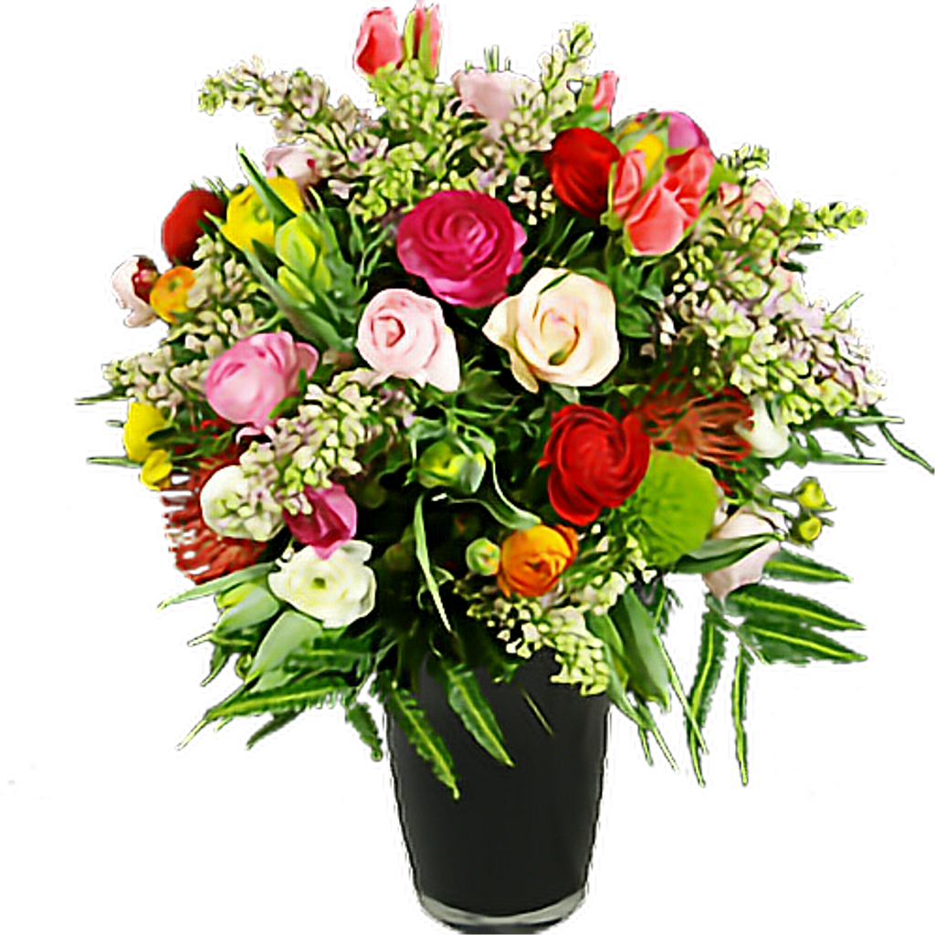 Flowers Pretty Beautiful Pettlesplant Plants Nature - Photography (1024x1024), Png Download