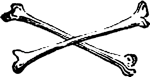 Bones Png Clipart - Cross Bones Png (500x294), Png Download